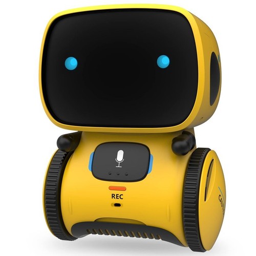 Smart interactive robot - robot, toy