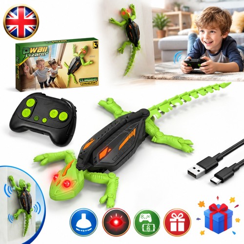 Wall crawler gecko - crawler,
